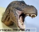FUN 1 - voi nu suteti normali ....nici eu... edy faci - FUNNY