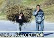 FUN 1 - c bou e tipu'.d parca nu el o fumeaza - FUNNY