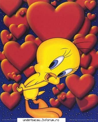 looney toons - tweety....barbatelul meu...nu-l dau la - CARTOONs